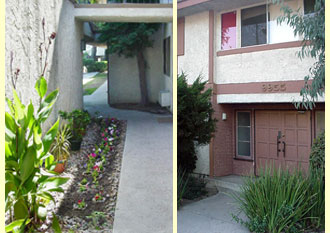 garden, entry